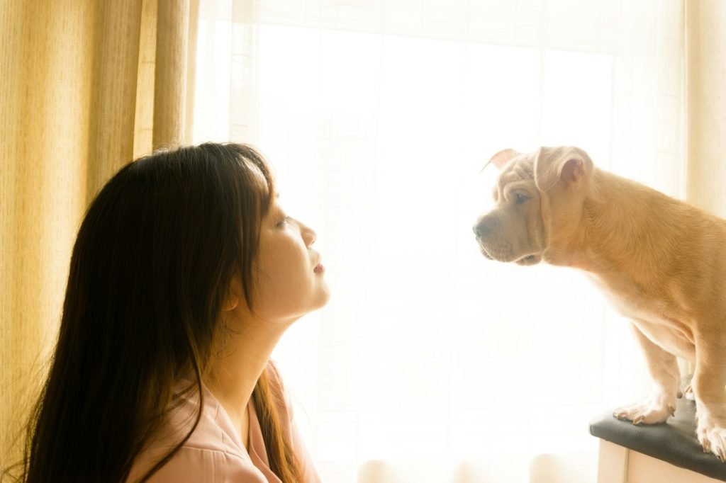 Mulher olhando o cão com carinho